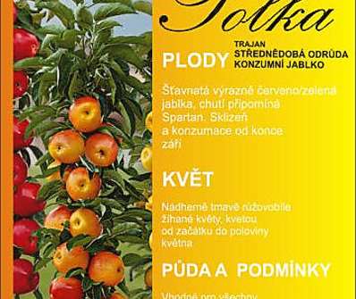 Jabloň Polka