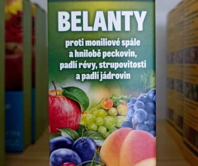 Belanty